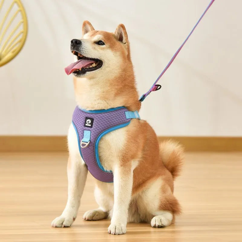 Adjustable mesh dog harness with reflective piping on a small dog, shown in light purple colour