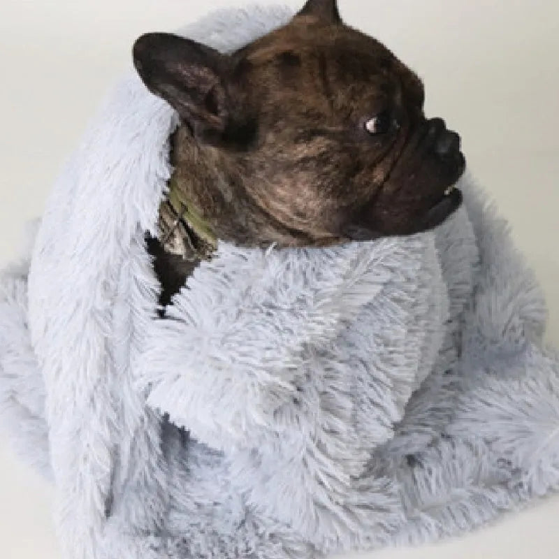 Soft wool-polyester long plush pet dog blanket in Dark Gray, available in three sizes