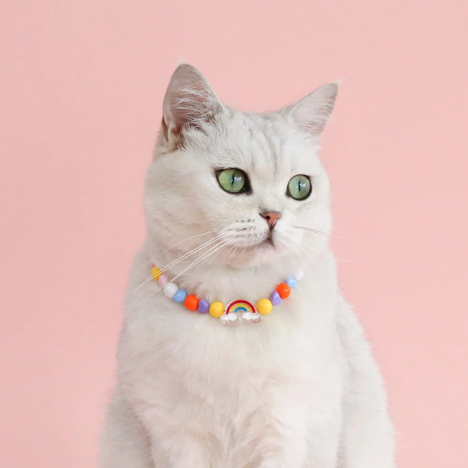 Colourful plastic bead pet necklace with adjustable sizing for cats and dogs