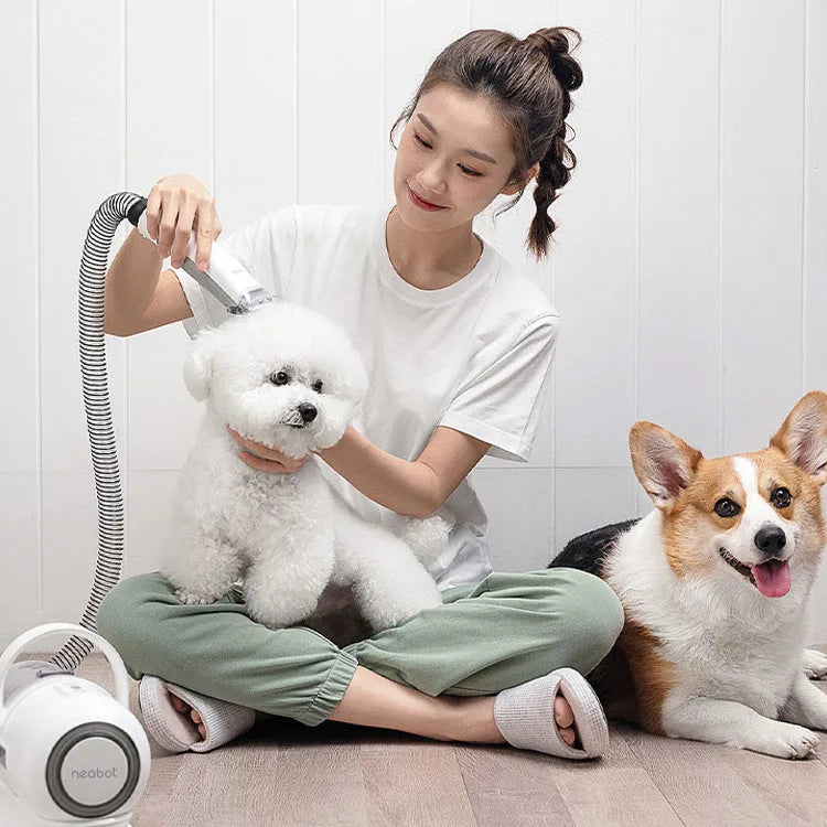 Pet grooming device on white background, ABS body, 290mm length, with trimming shears and massage comb accessories