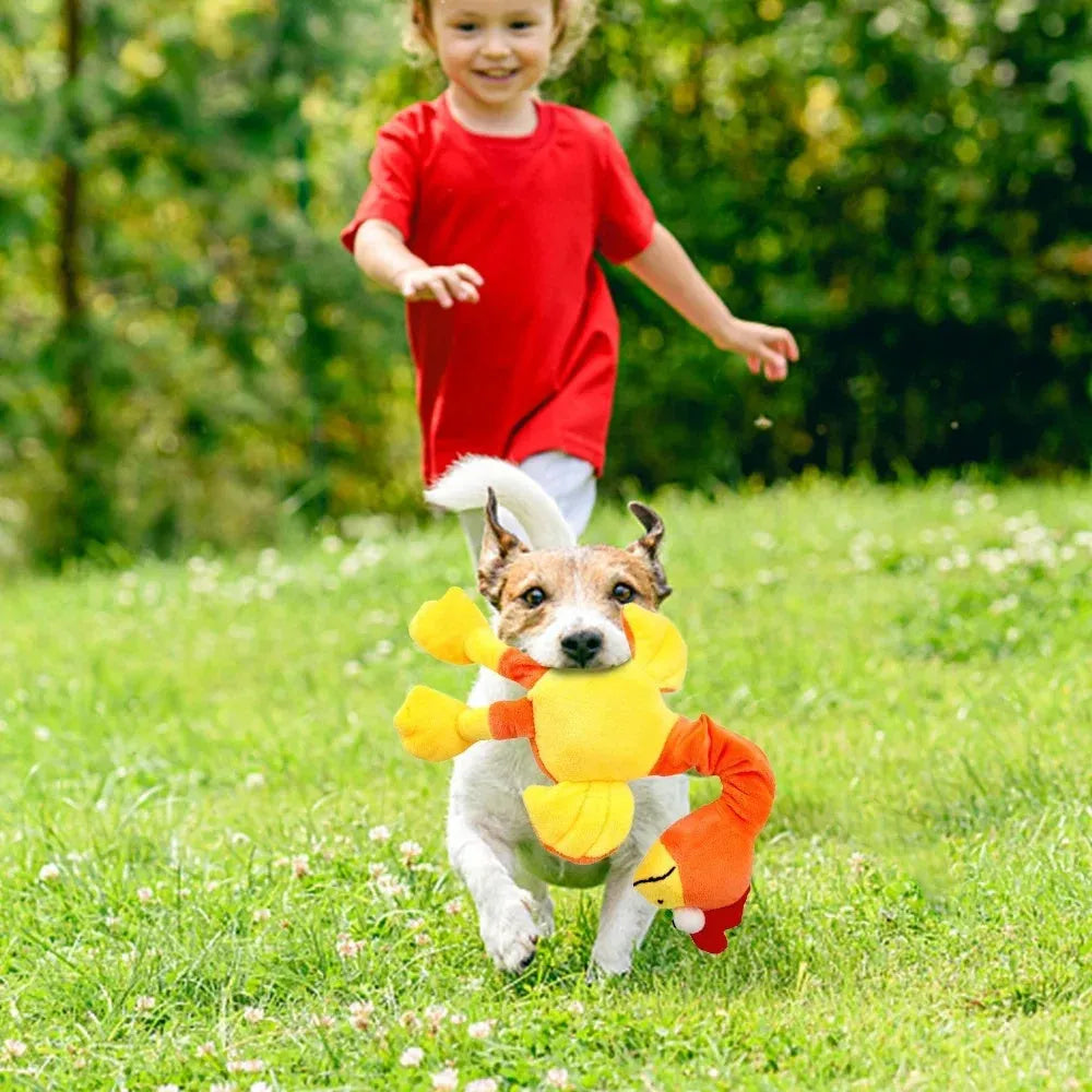 Bite-resistant screaming chicken squeaky rubber dog toy in green colour, approx 15cm long.
