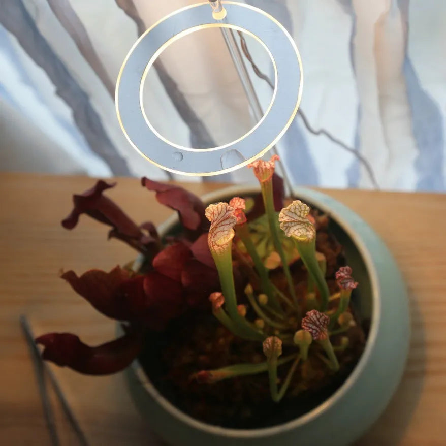 USB LED plant grow light with transparent housing on a 25cm acrylic stick.