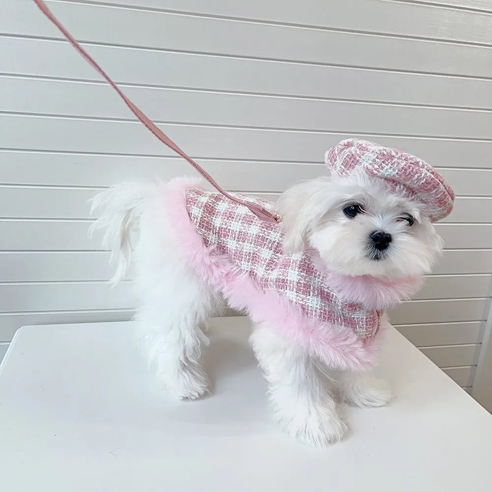Cat wearing pink hooded cloak with matching beret and attached rope leash costume set