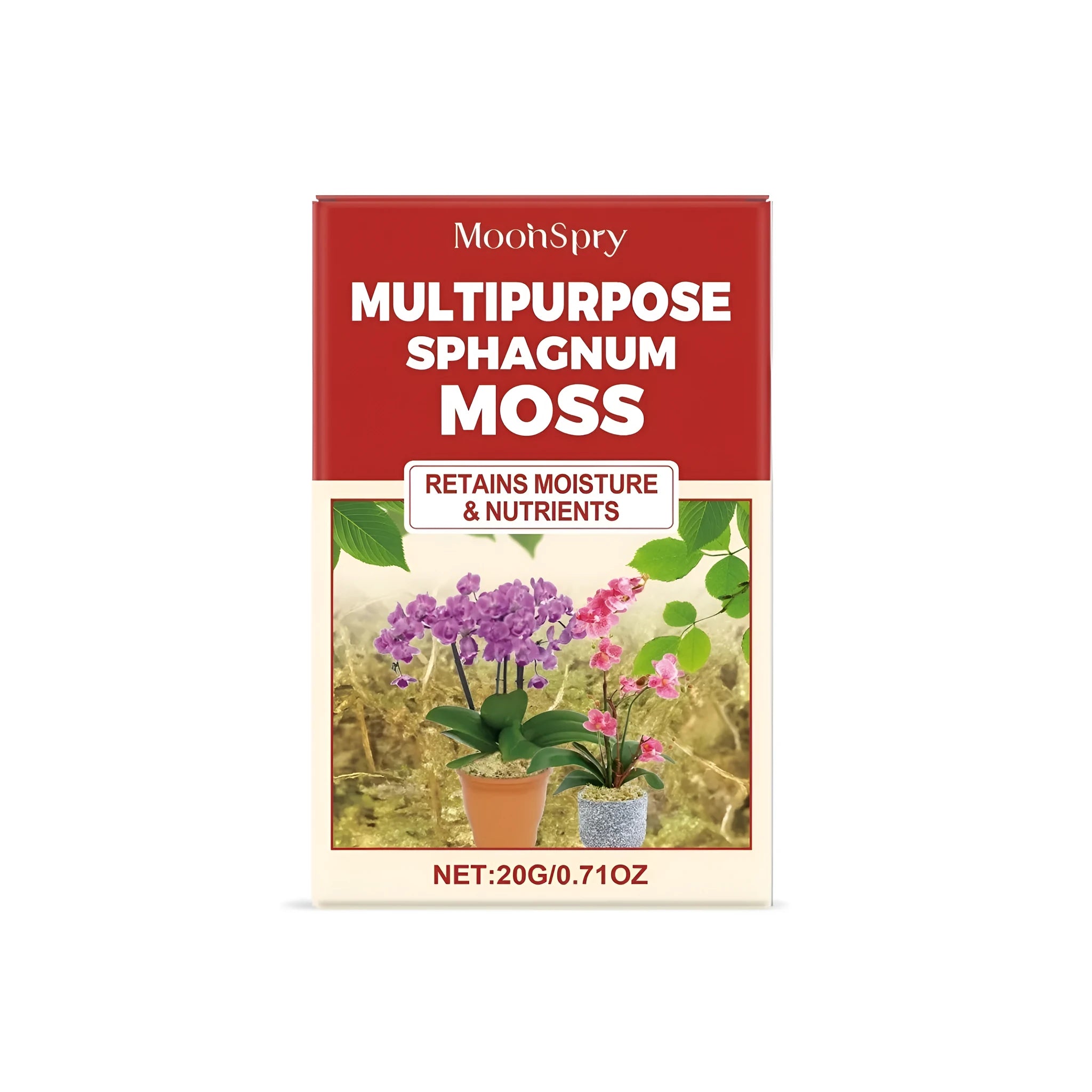 A 20g pack of dried green Sphagnum Moss for plants and crafts.