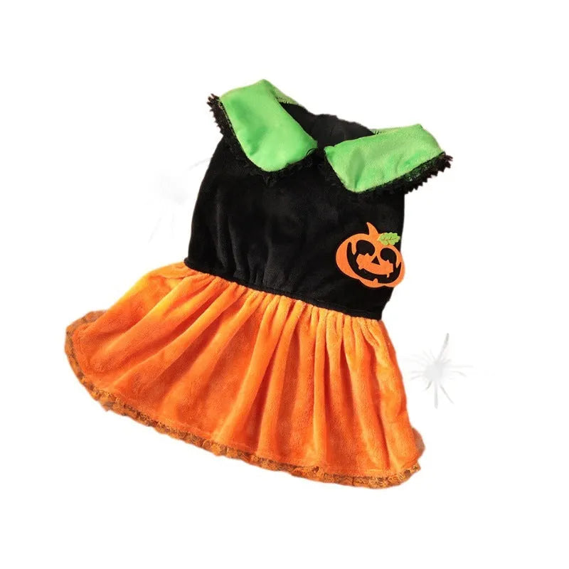 Halloween pet costume for small dog, shown as a crystal velvet pumpkin skirt and festive sweater.