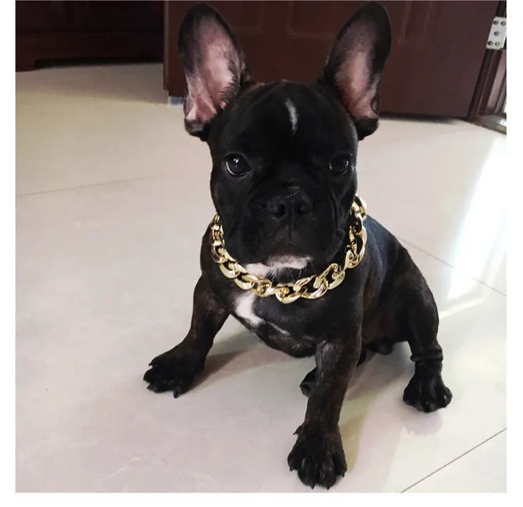 Gold colour chain-style adjustable dog collar with buckle closure for small to medium pets