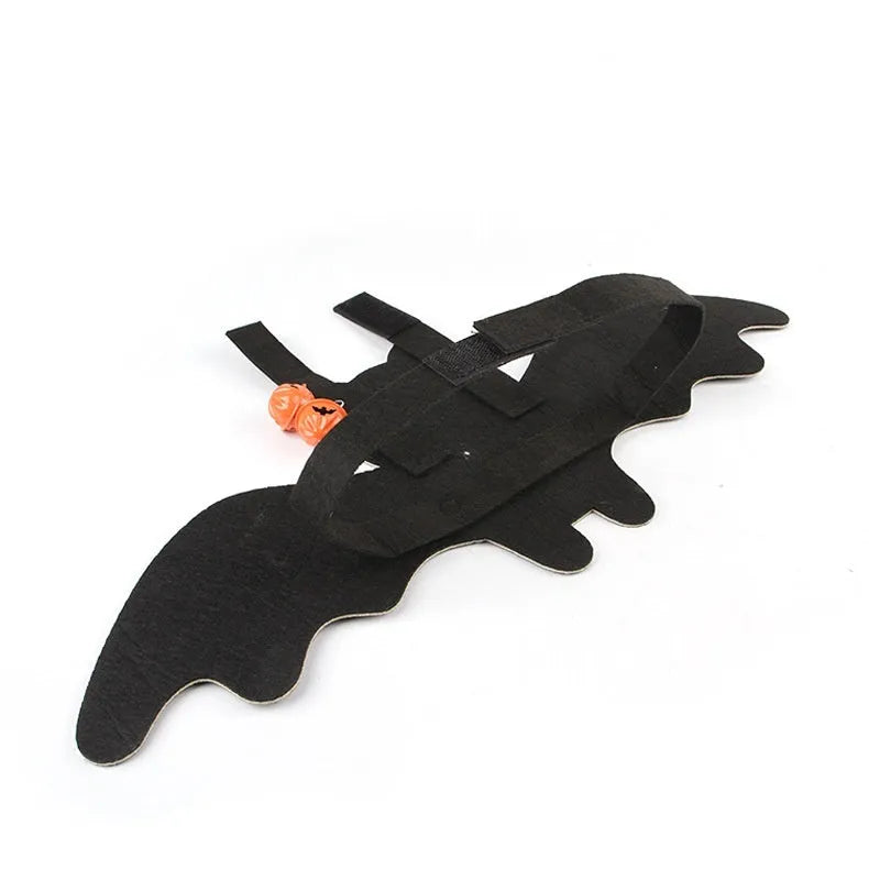 Halloween cat batwing felt costume in pumpkin bat colour on a cat