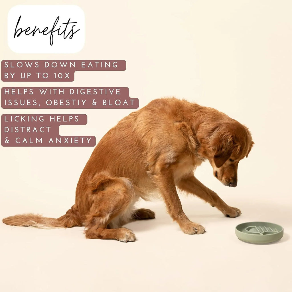 Silicone dog slow feeder bowl with ridge design in various colours on a kitchen counter.