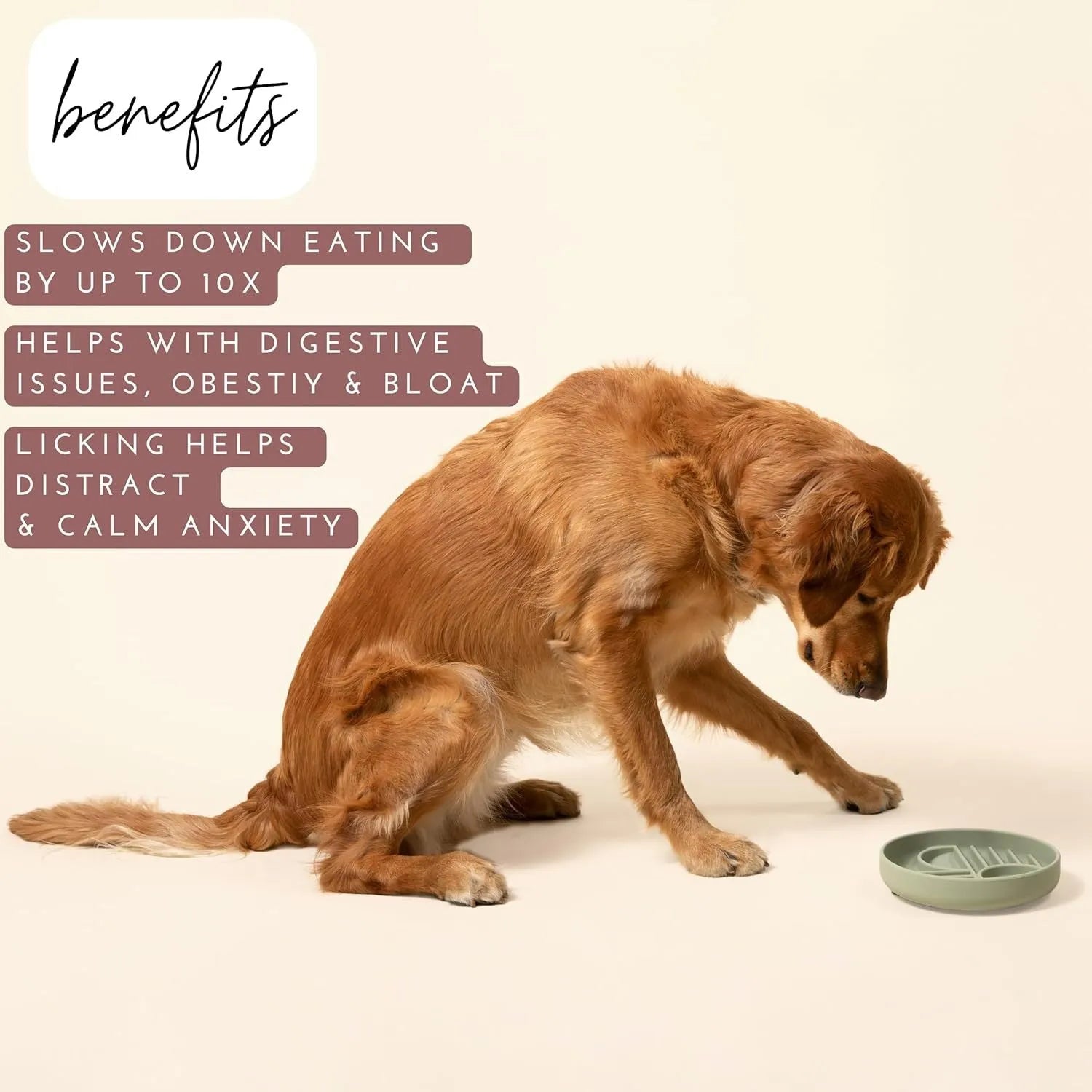 Silicone dog slow feeder bowl with ridge design in various colours on a kitchen counter.