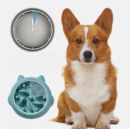 Green PP plastic slow feeder bowl for dogs with bone-shaped internal maze ridges.