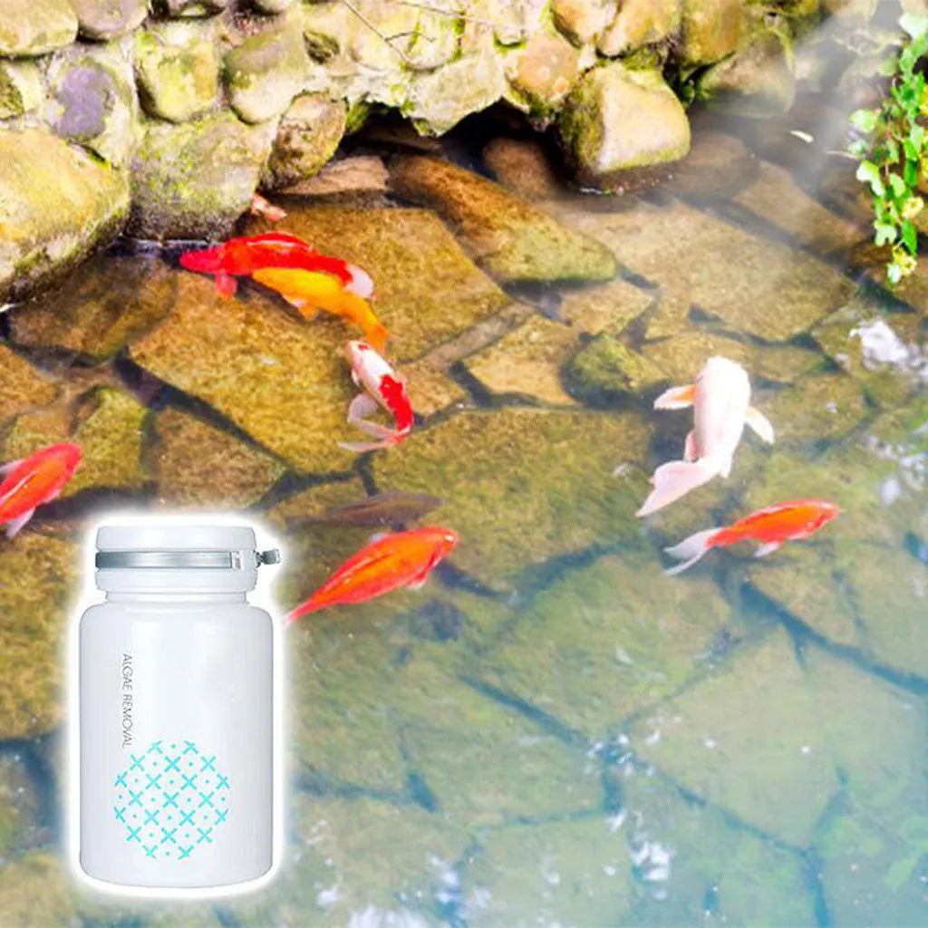 50g bottle of algaecide for swimming pool and aquarium algae and moss removal treatment.