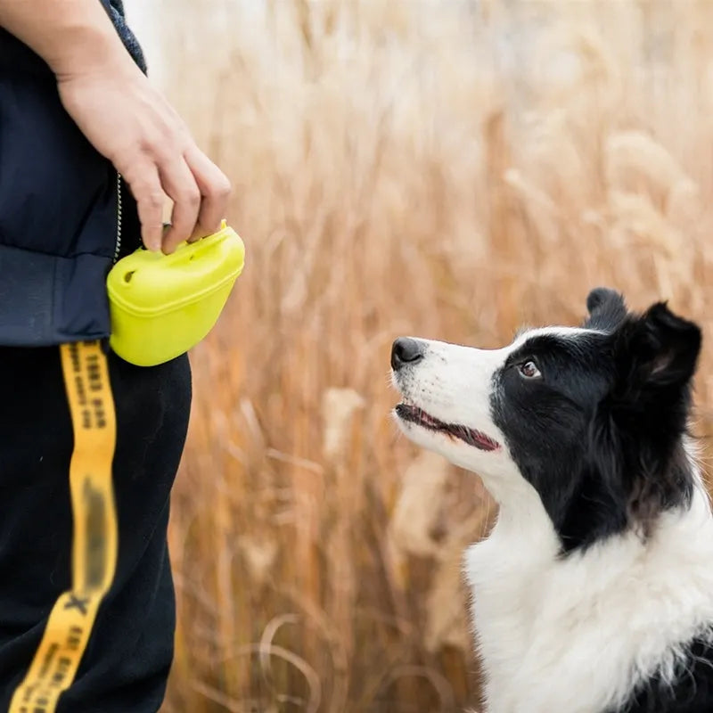 Silicone dog training treat pouch with clip and magnetic opening in assorted colours