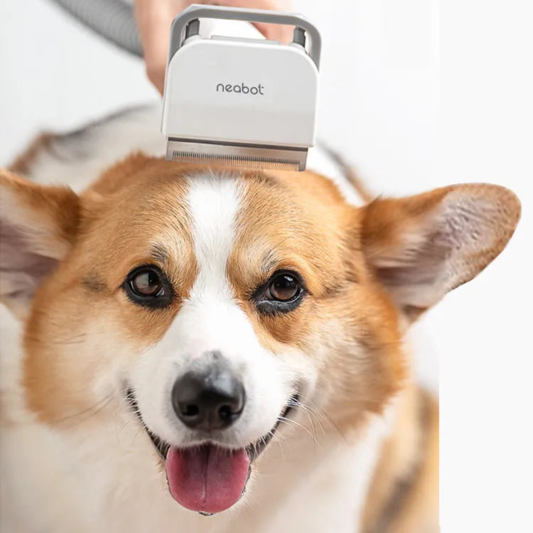 Pet grooming device on white background, ABS body, 290mm length, with trimming shears and massage comb accessories