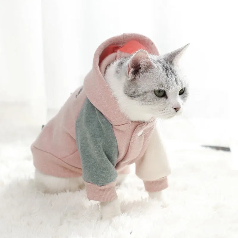 Brown cotton pet sweatshirt for dogs or cats showing casual leisure design