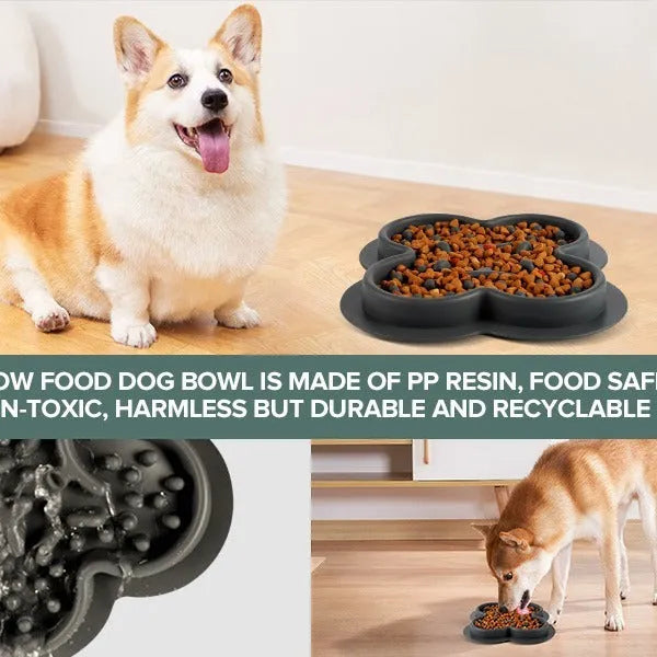 Silicone pet licking mat with textured surface and non-slip base in assorted colours.