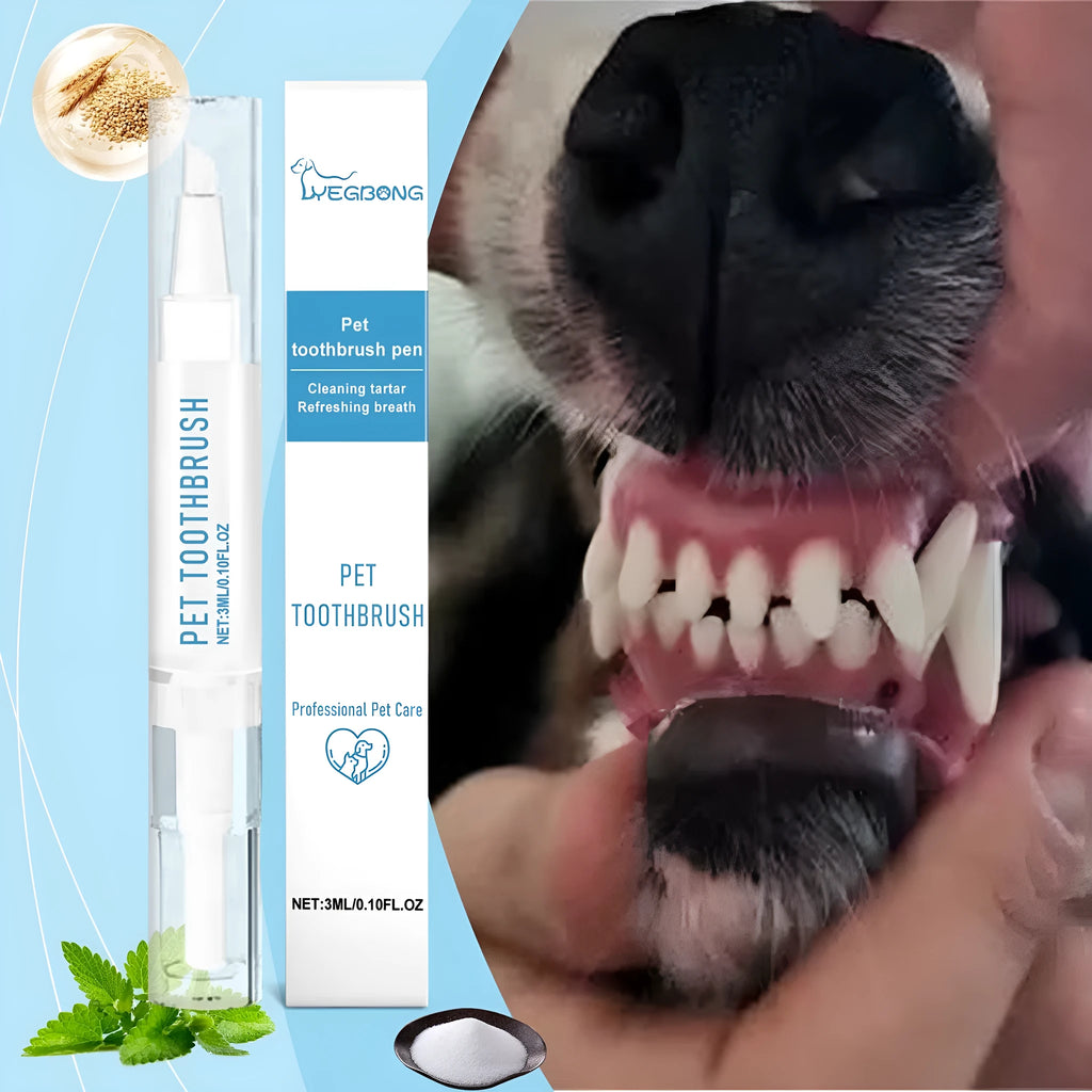 Portable pet toothbrush pen with soft bristle brush head and 3ml capacity for dog and cat dental care