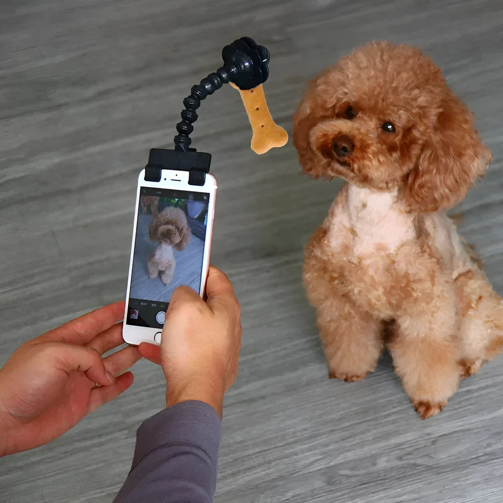 Pet photography tool with snack clip, 360-degree rotation, black plastic phone holder