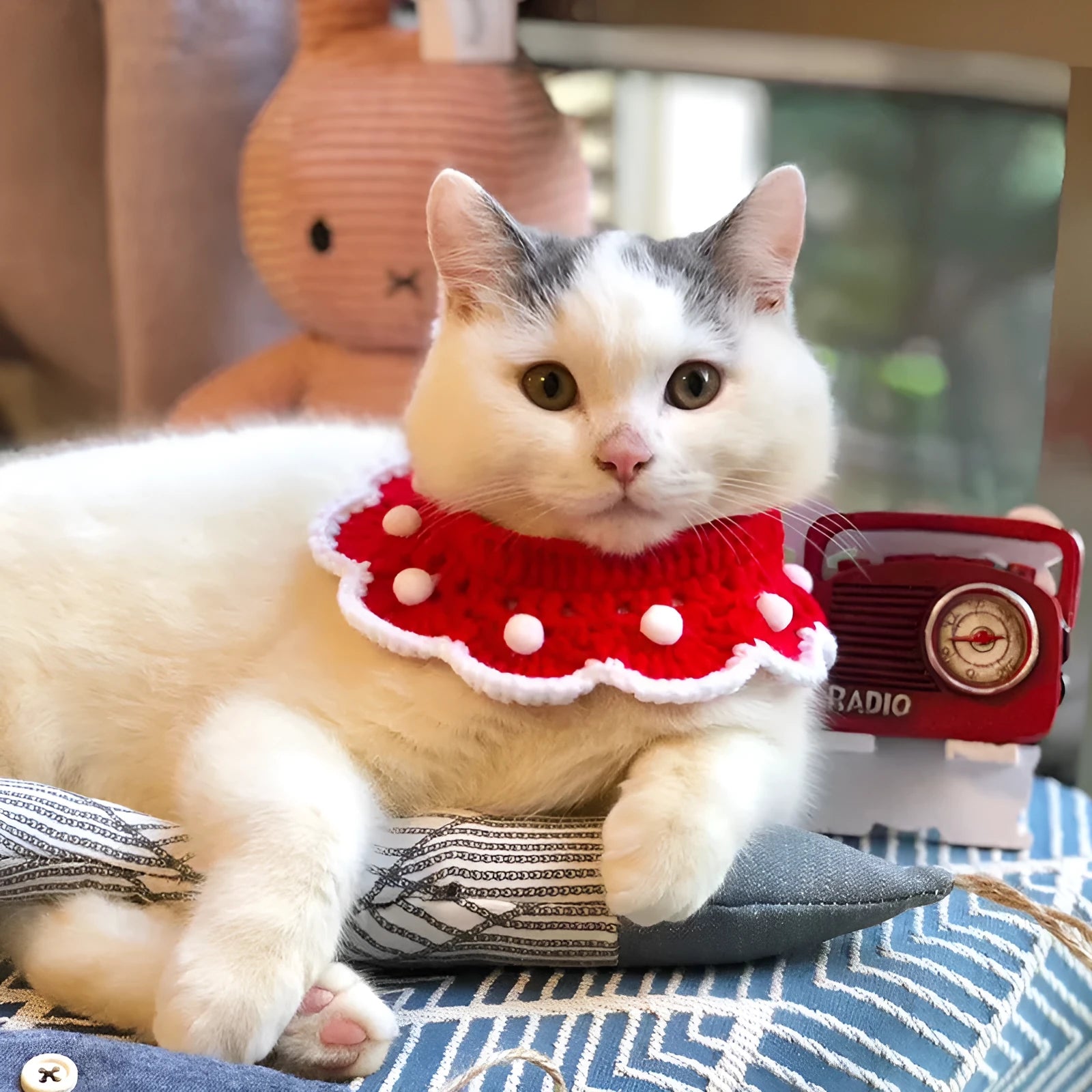 Milk cotton knitted pet collar with cartoon pattern, shown in customisable colours for XS, S, M, L sizes.