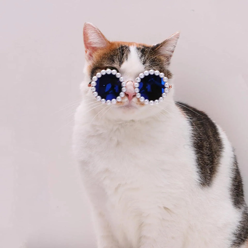 Cat and dog pearl rimmed round sunglasses in five colours black blue coffee orange purple with two sizes 8cm and 11cm