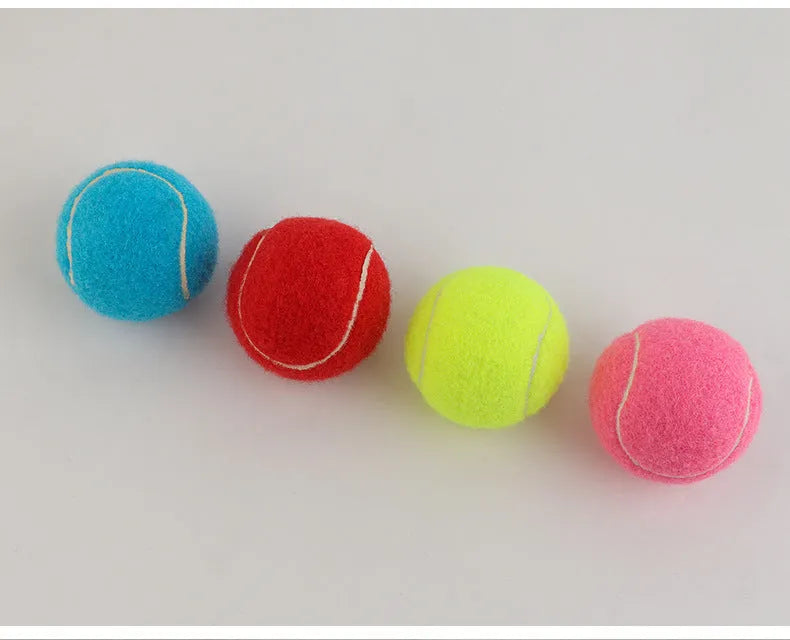 Bite-resistant rubber dog tennis ball in pink, blue, green, orange, and red colours, 6.3cm diameter
