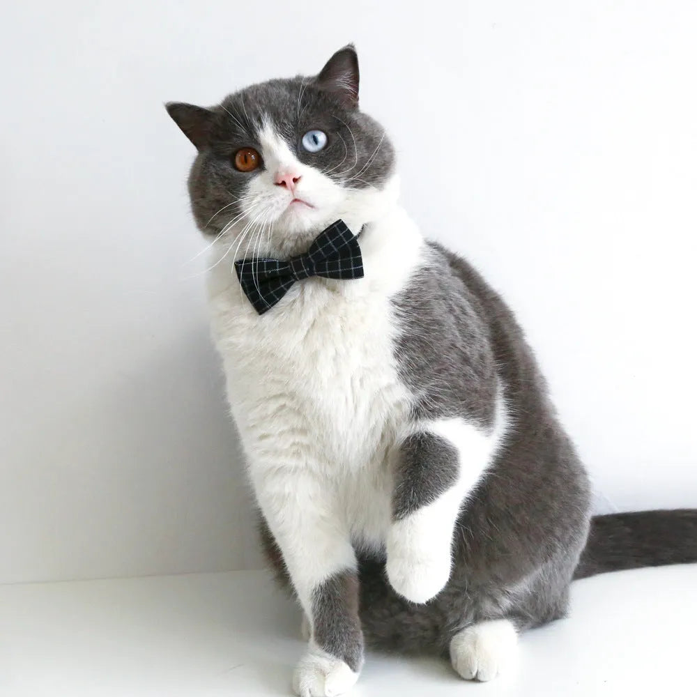Pet wool felt hair band with matching bow tie accessory in British style
