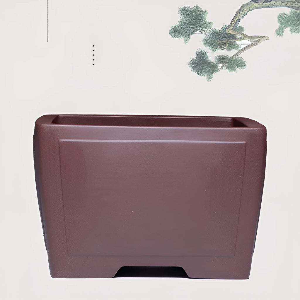 Square purple clay succulent bonsai pot showing classical design with multiple size options