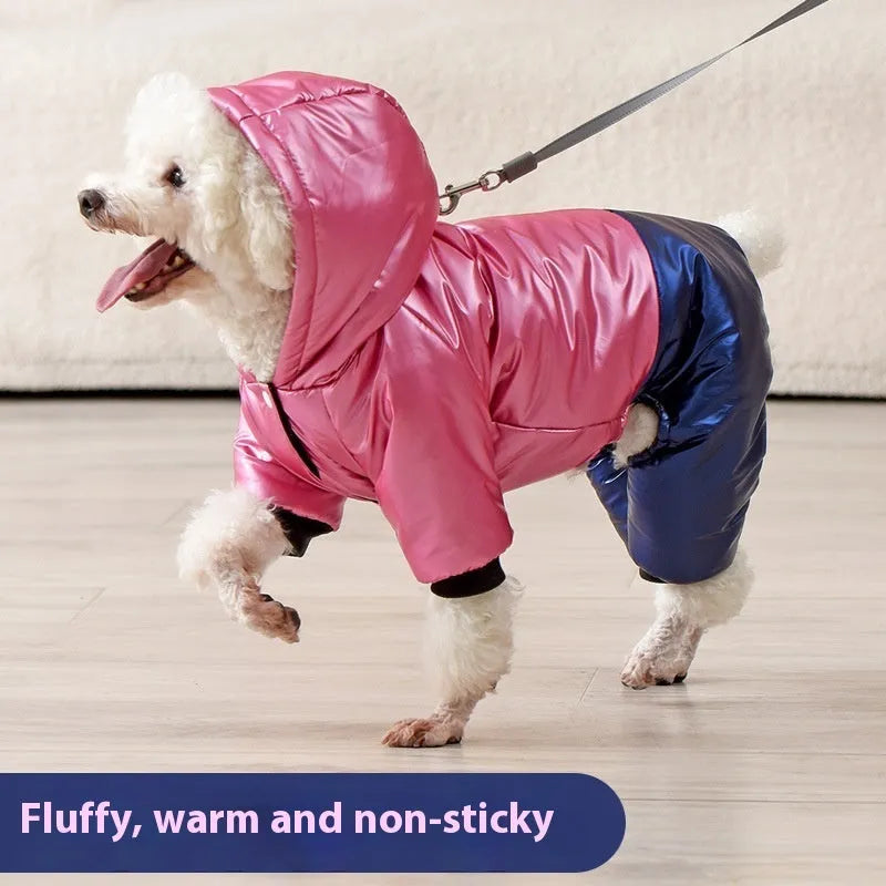 Green waterproof cotton-padded dog coat on a model dog, showing casual style and sizing.