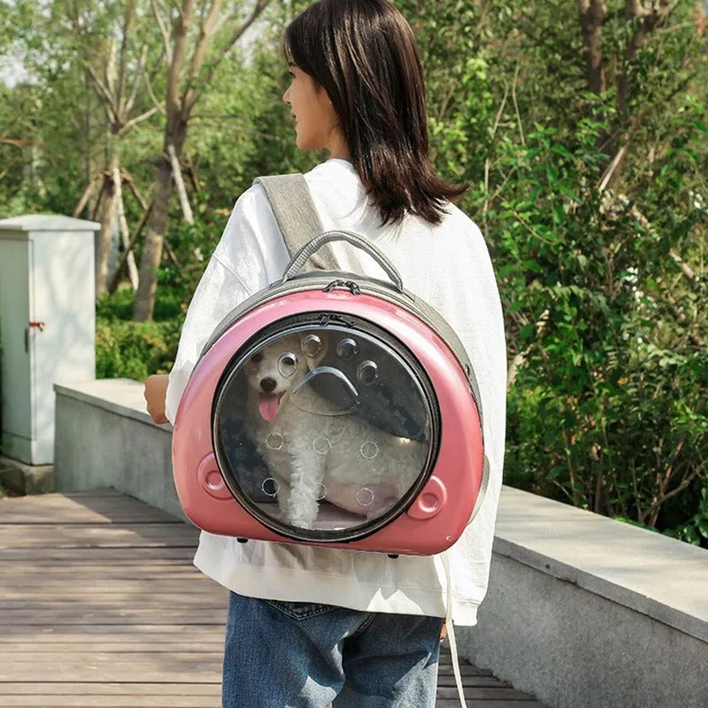 Transparent space capsule-shaped cat carrier bag with a handle in a choice of coloured front covers.