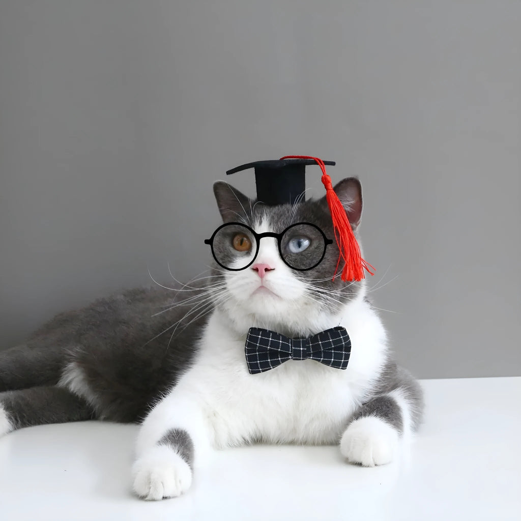 Pet wool felt hair band with matching bow tie accessory in British style