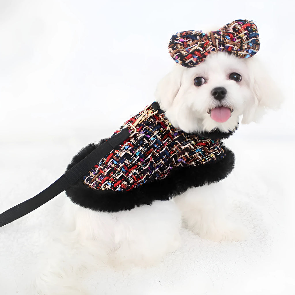 Classic style dog cloak chest strap hand holding rope cloth lead with beret design for small to large dogs