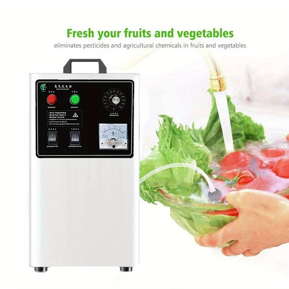 Fruit and vegetable ozone generator machine with 20g/h output in stainless steel or white housing