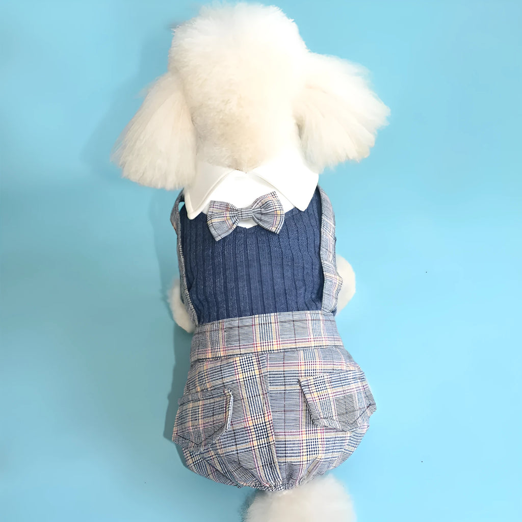 Orange and dark blue cotton dog shirt for small pets in sizes S to 2XL