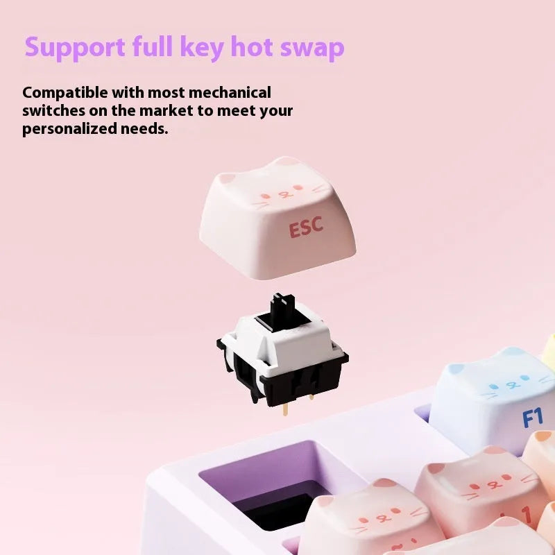 MG108B sugar cat themed mechanical keyboard with RGB lighting and 108 keys