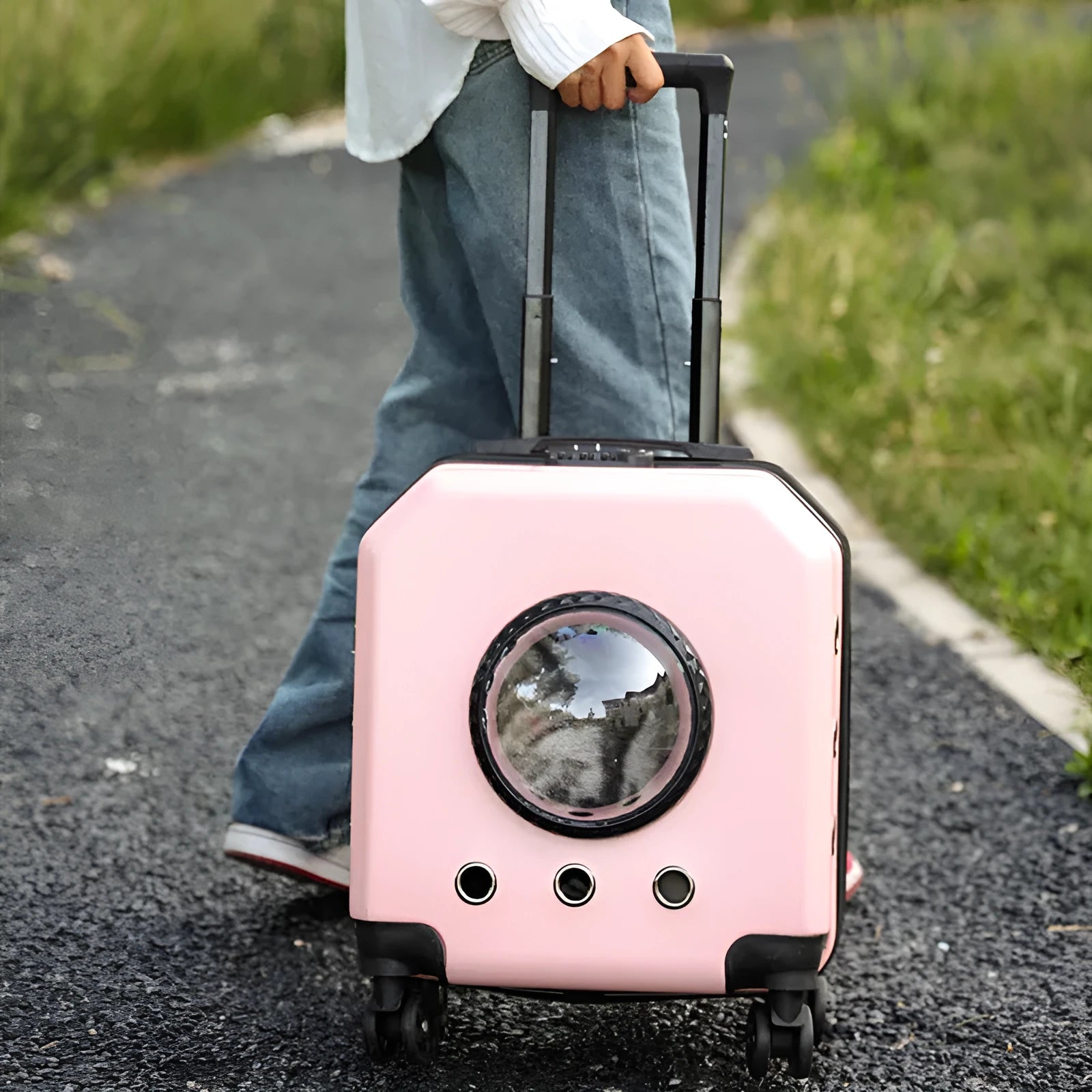 Hard-shell pet flight case with trolley wheels and storage compartment in choice of four colours