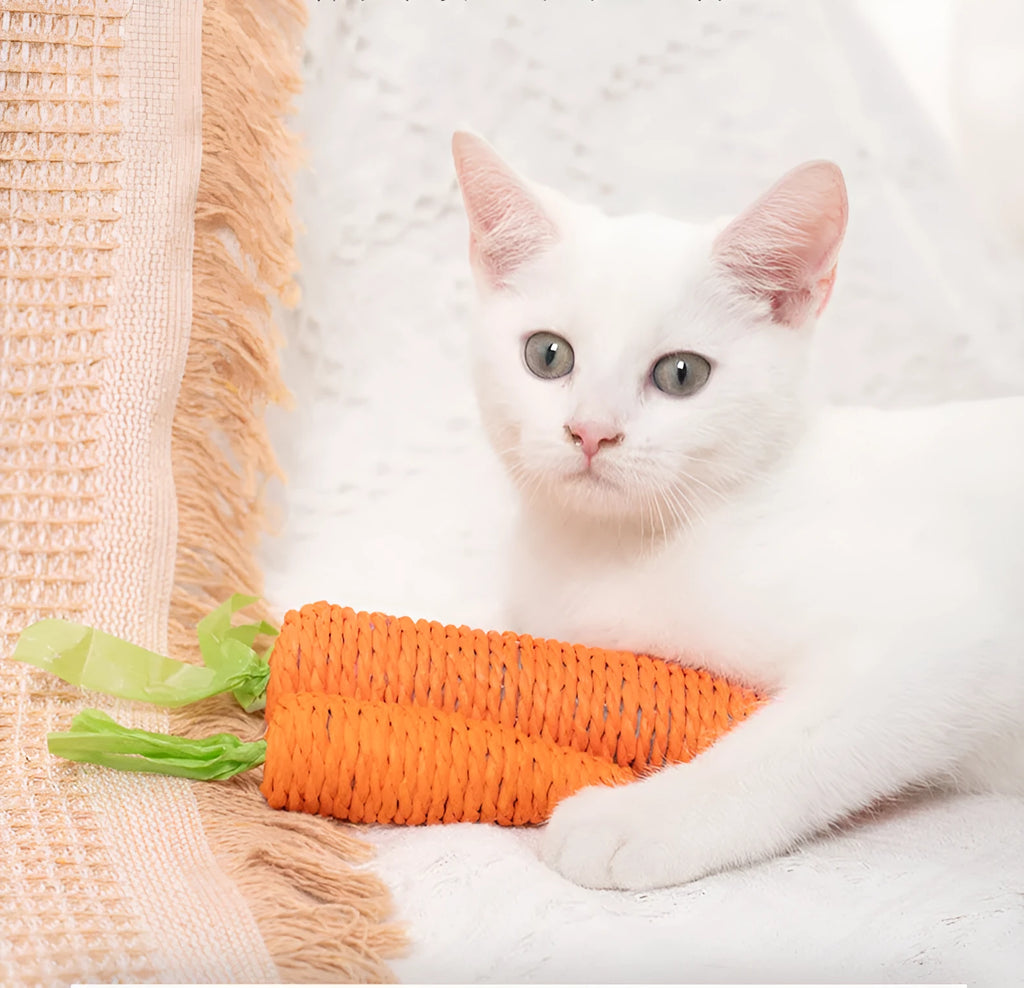 Cat toy set with carrot-shaped chew toys, crinkly paper toys, ringing stones, interactive sticks, and tooth grinding items