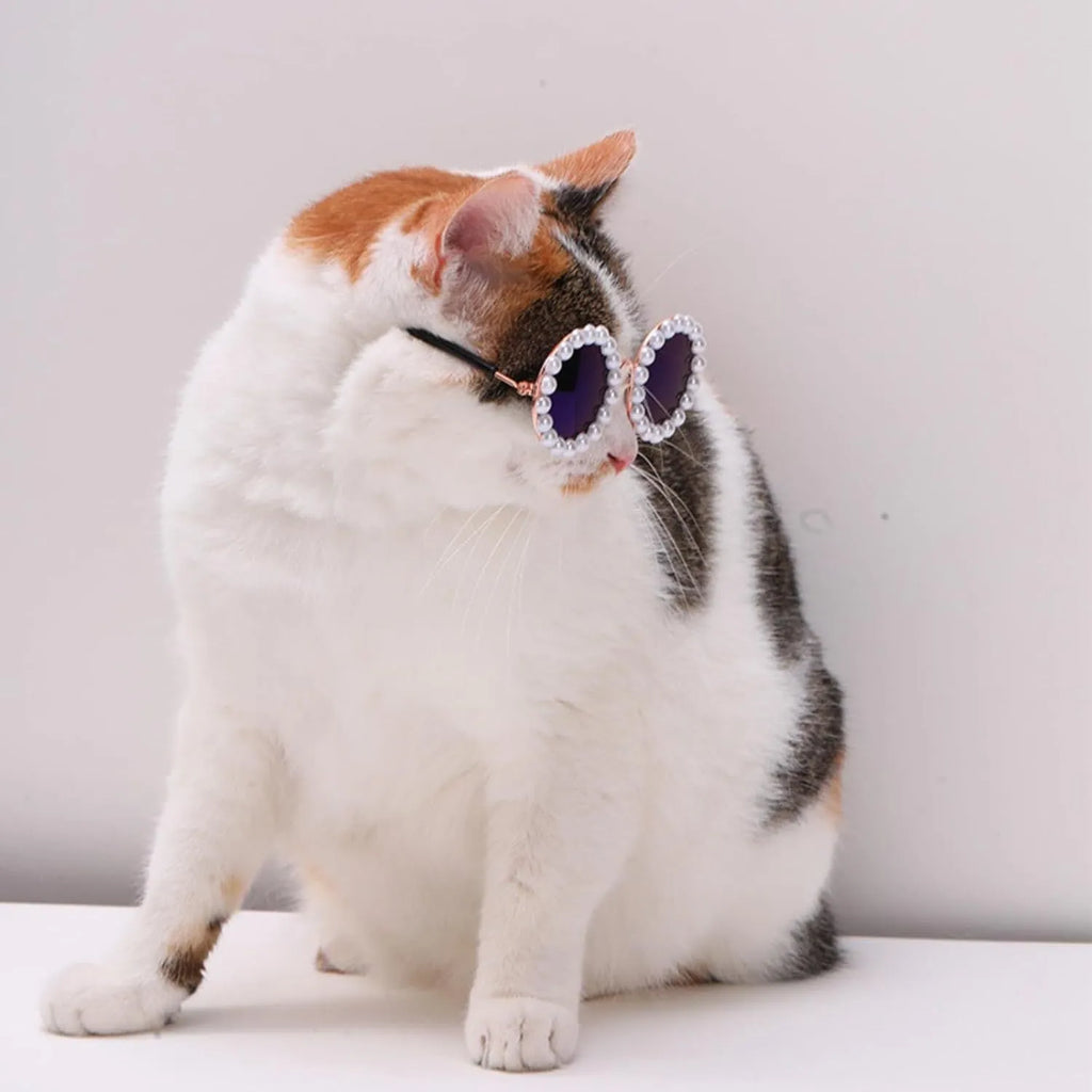 Cat and dog pearl rimmed round sunglasses in five colours black blue coffee orange purple with two sizes 8cm and 11cm