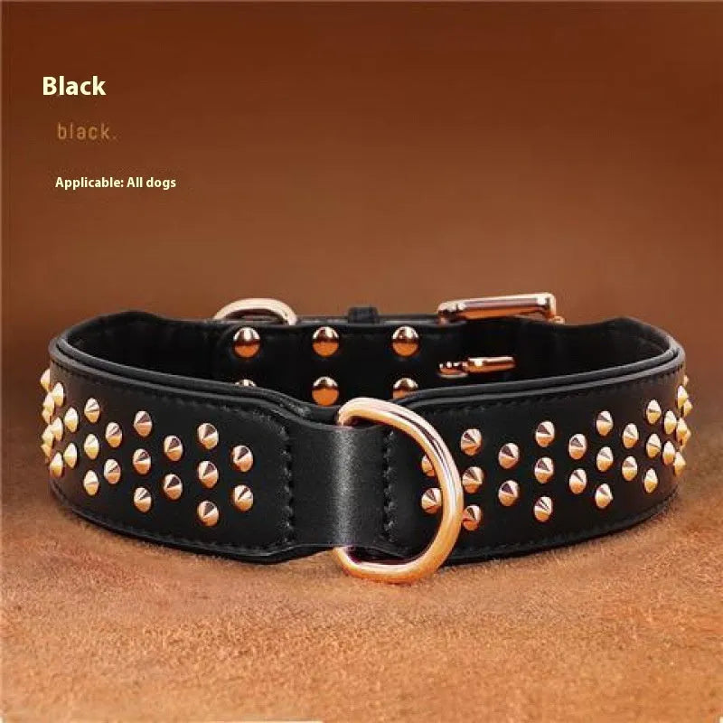 Brown leather dog collar with metal rivets and a silver buckle, shown on a black background.