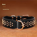 Brown leather dog collar with metal rivets and a silver buckle, shown on a black background.