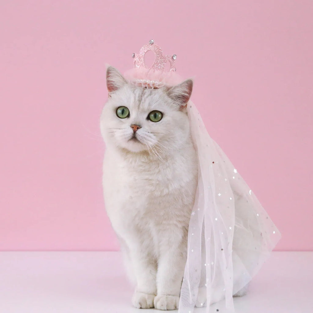 Pet princess crown headdress with beige and pink veil options for cat wedding celebrations
