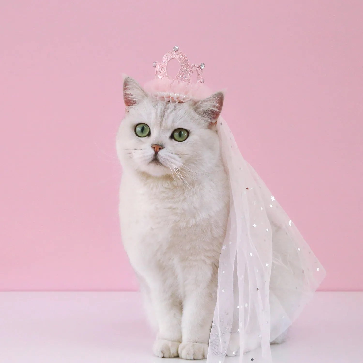 Pet princess crown headdress with beige and pink veil options for cat wedding celebrations