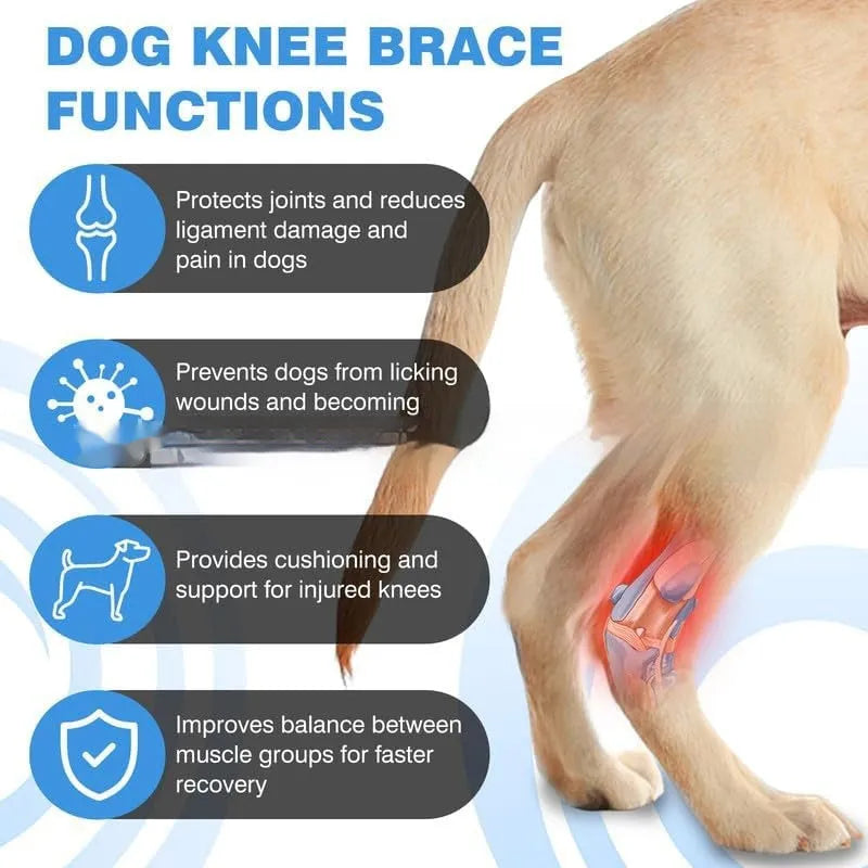 Black polyester dog leg guard for ACL tear and joint dislocation protection, shown with protective cover.