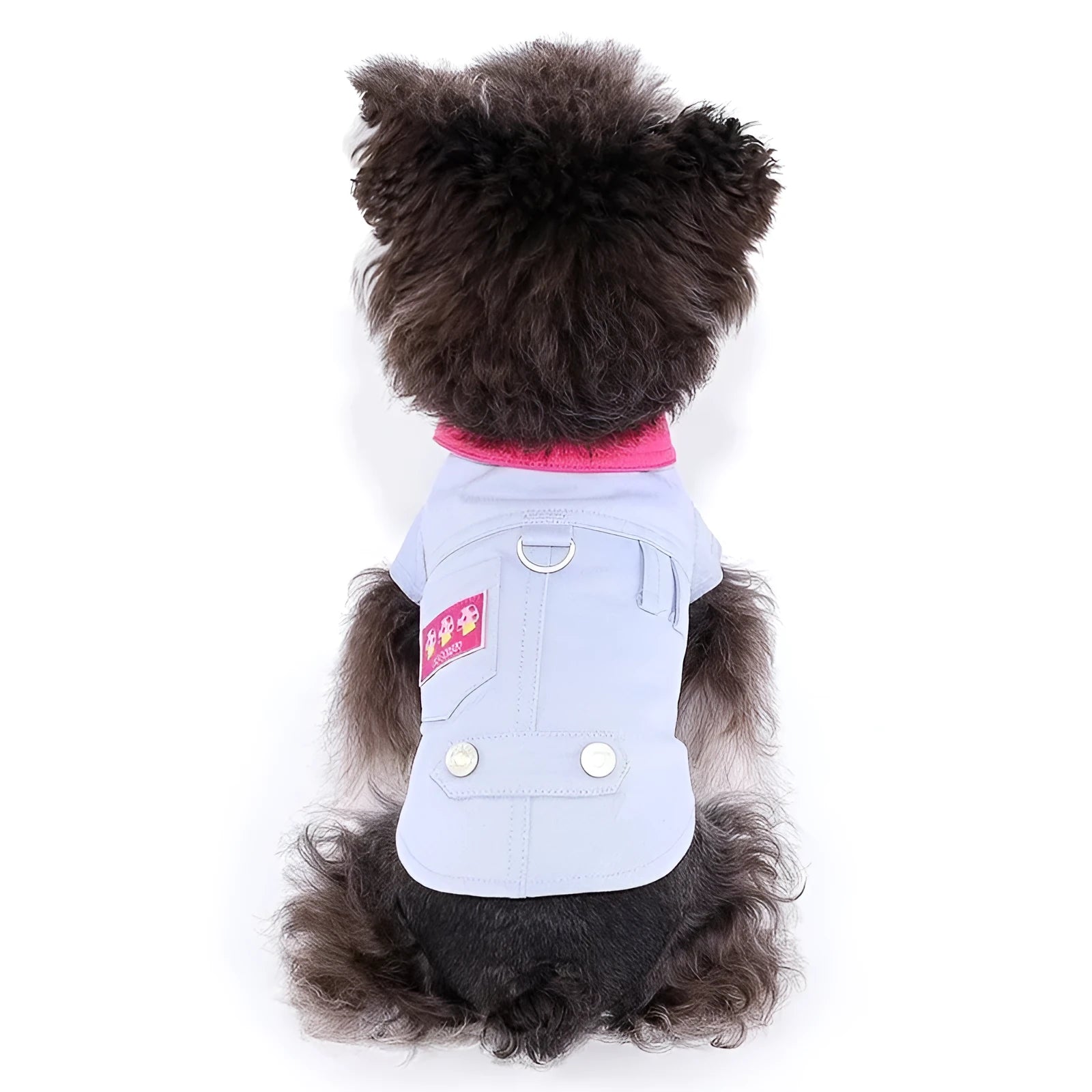 Blue and purple polyester mesh dog vest with integrated rope ring for small dogs
