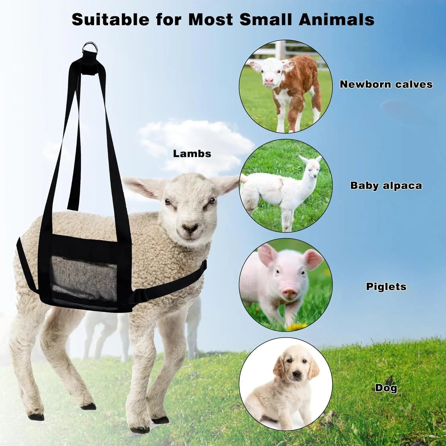 Black nylon calf and large dog weighing sling with adjustable handles laid flat, showing its 150cm length.
