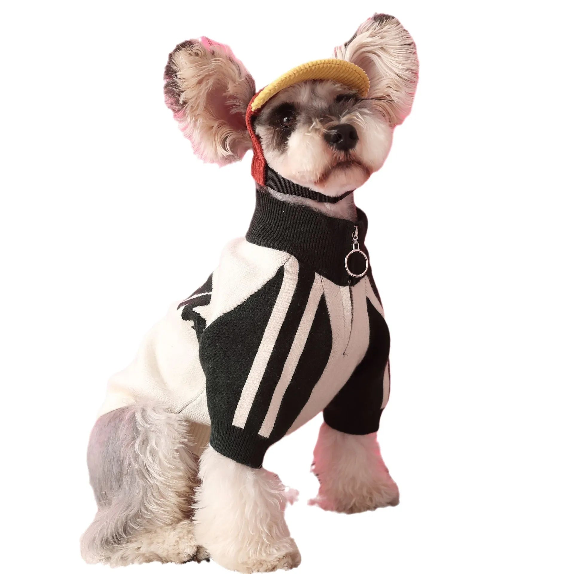 Puppy dog sports sweater cardigan in wool, dark green and red colours, available in sizes S to XXL