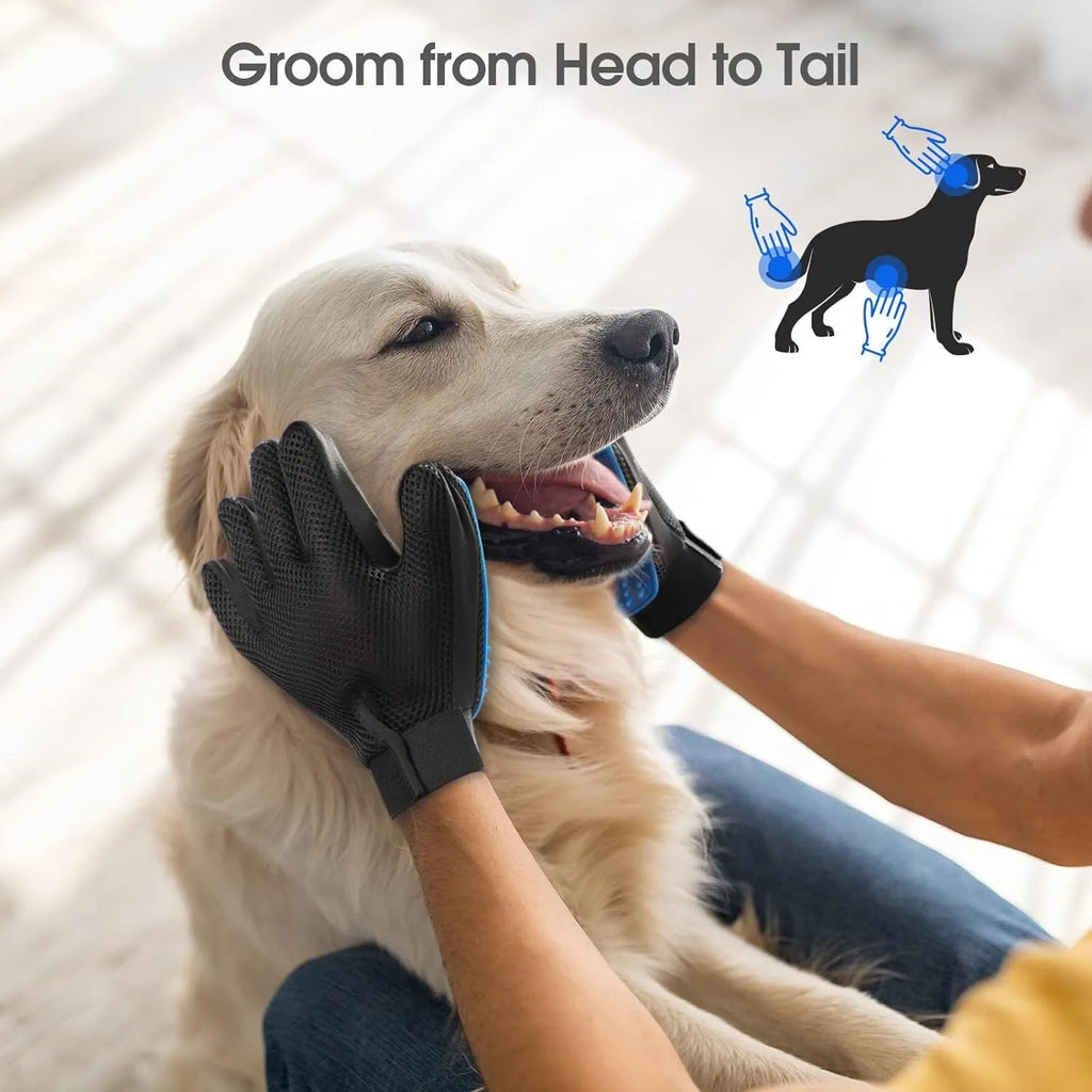 Blue pet grooming gloves with silicone tips for cat and dog hair removal