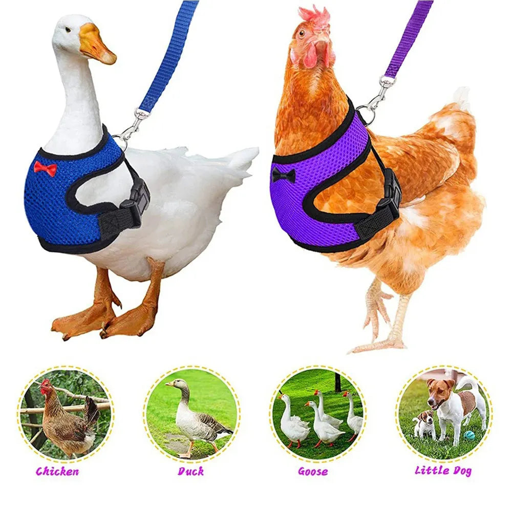 Adjustable poultry vest harness with matching collar and bow for ducks and chickens in multiple sizes and colours