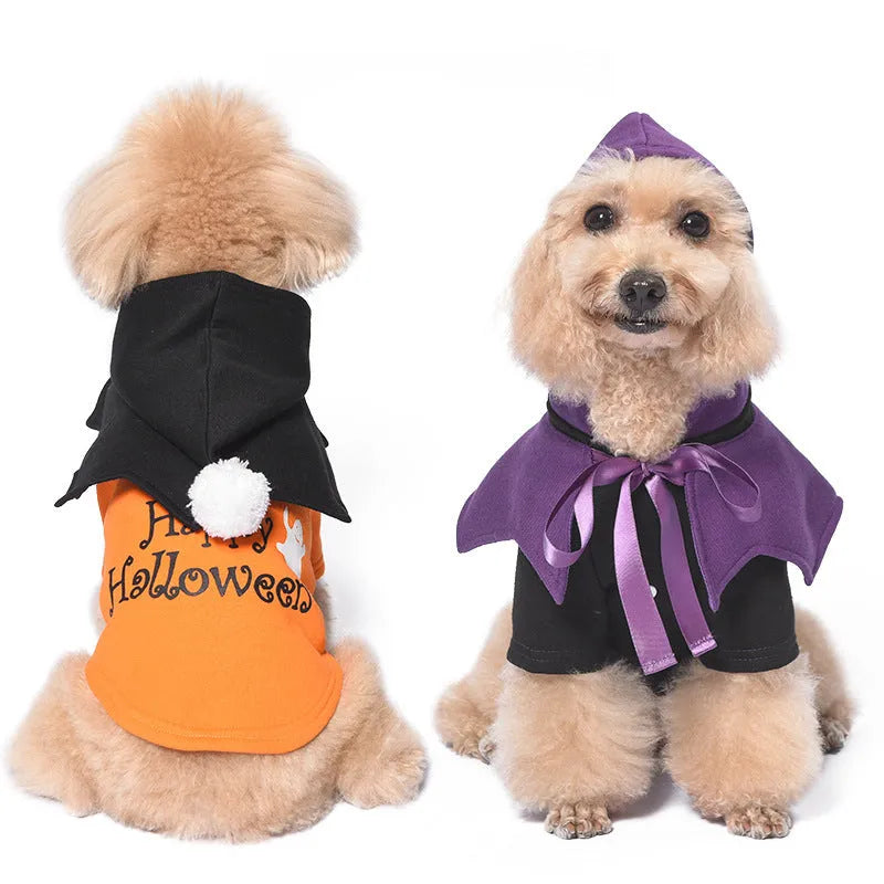 Halloween pumpkin dog clothes in black and orange, two-piece sweater and shawl set on a small dog