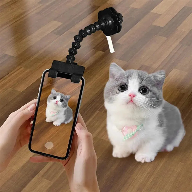 Pet photography tool with snack clip, 360-degree rotation, black plastic phone holder