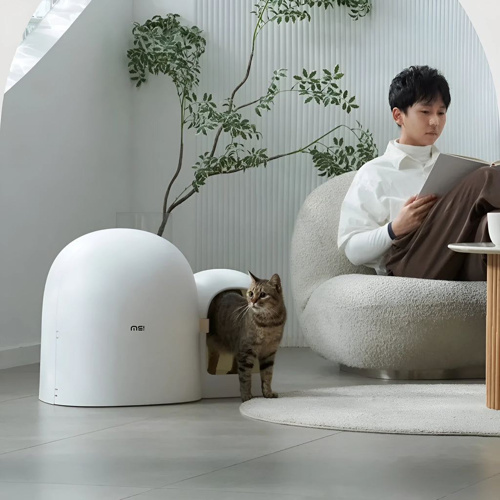 Oversized enclosed cat litter box in moss green colour with dimensions 67.7cm by 49cm
