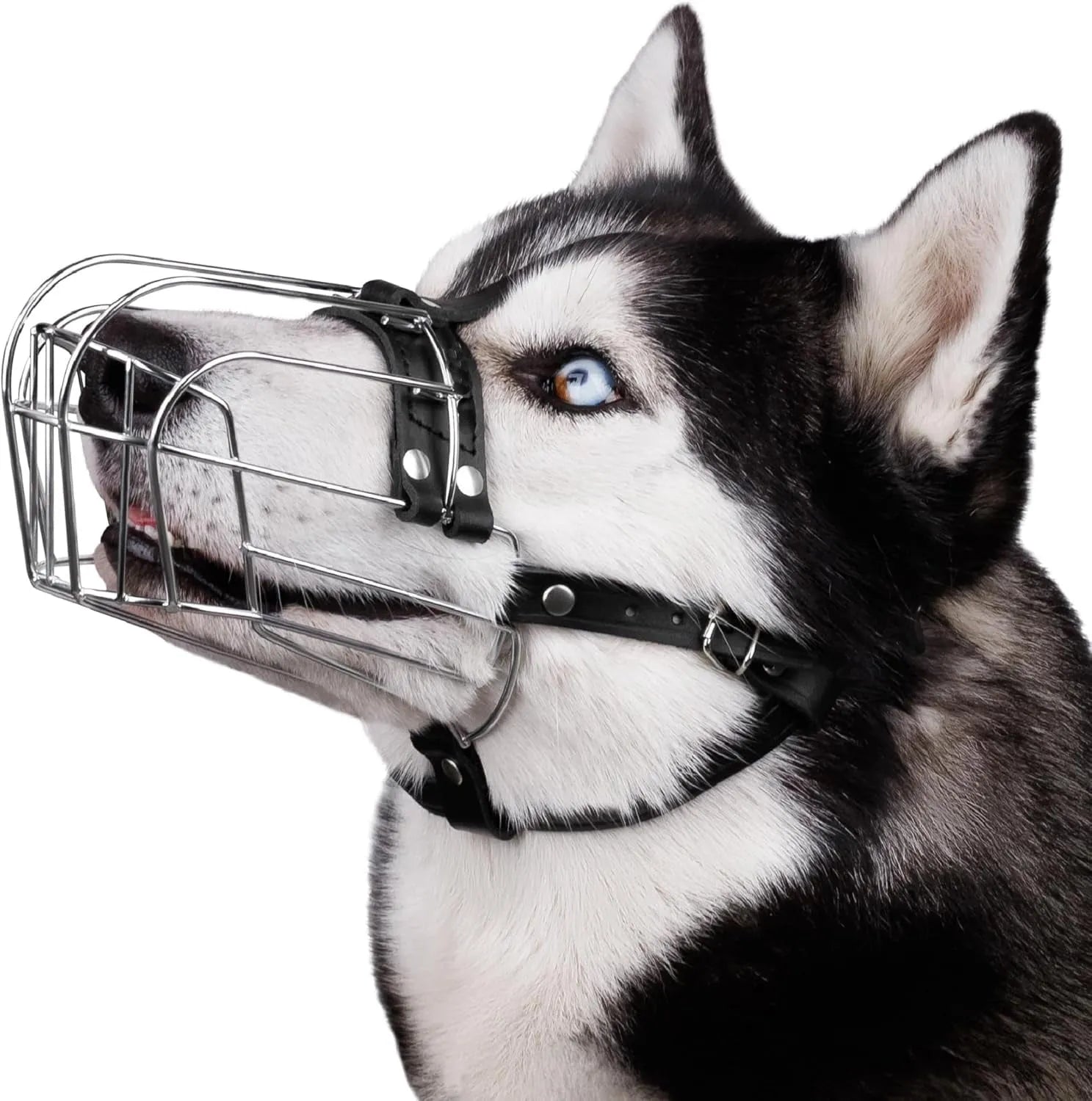 Black metal mesh dog muzzle designed for Golden Retrievers and German Shepherds.